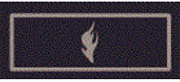 Leiter/-in der Jugendfeuerwehr (LJF)