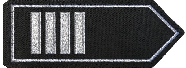 Brandamtsrat/-rätin