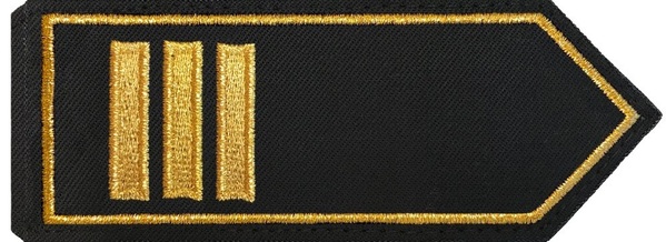Branddirektor/-in