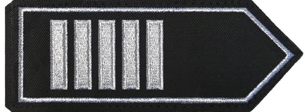 Brandoberamtsrat/-rätin