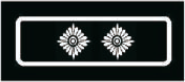 Gemeindebrandmeister/in (GBM), Stadtbrandmeister/in (SBM)