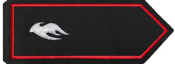 Kreisjugendfeuerwehrwart/-in (KJFW), Stadtjugendfeuerwehrwart/-in (SJFW)