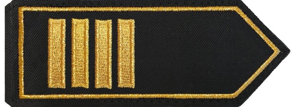 Leitender Branddirektor/-in
