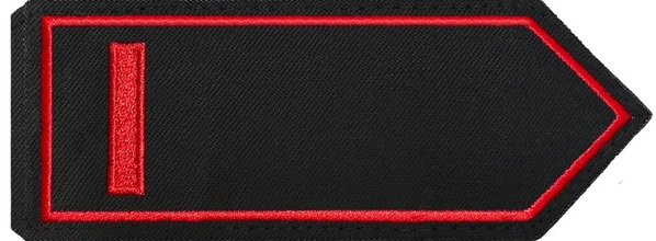Brandmeister/-in