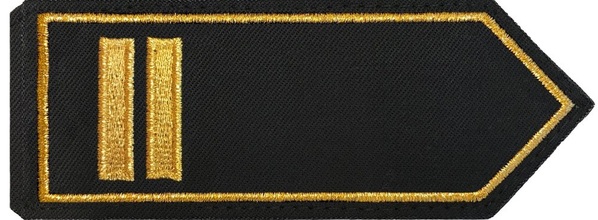 Oberbrandrat/-rätin