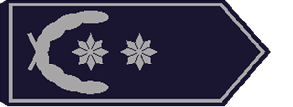 stellv. Vorsitzende/-r Stadt-/Kreisfeuerwehrverband