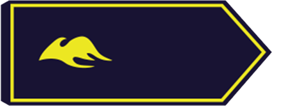 stellv. Landesjugendfeuerwehrwart/-in