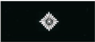 stellvertretender Wehrführer/-in (stellv.WF)