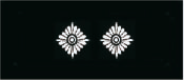 stellvertretender Gemeindebrandmeister/in (stellv.GBM), stellvertretender Stadtbrandmeister/in (stellv.SBM)