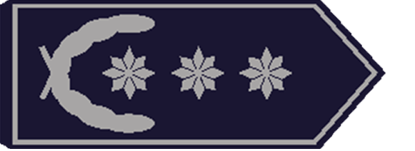 Vorsitzende/-r Stadt-/Kreisfeuerwehrverband