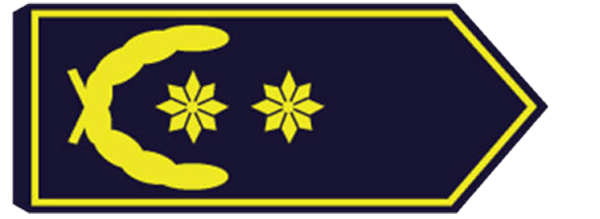 Vizepräsident/-in Thüringer Feuerwehr-Verband