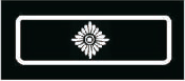 Wehrführer/-in (WF)